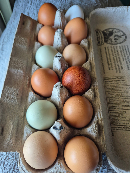 Farm Fresh Eggs