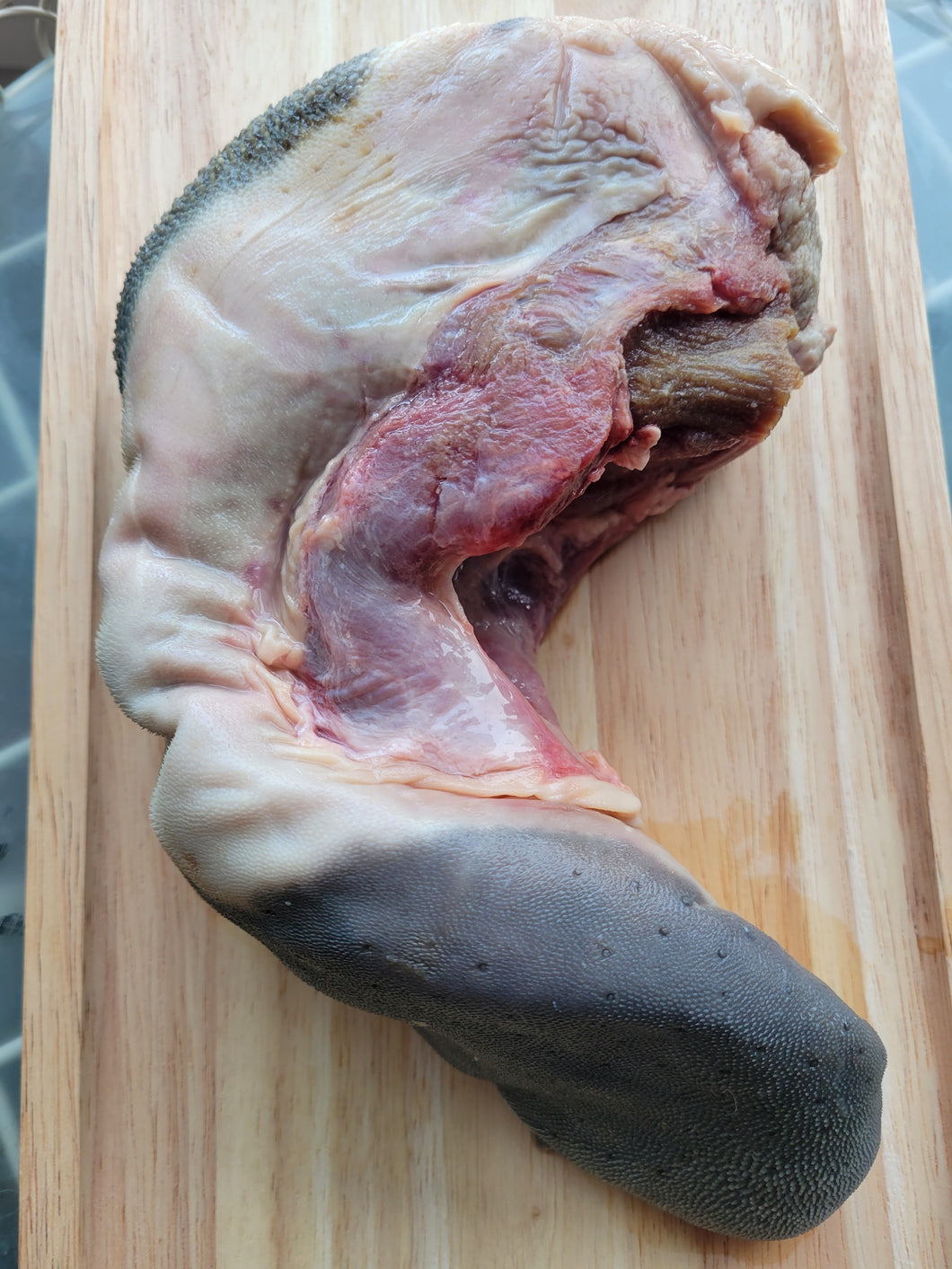 Organic Beef Tongue