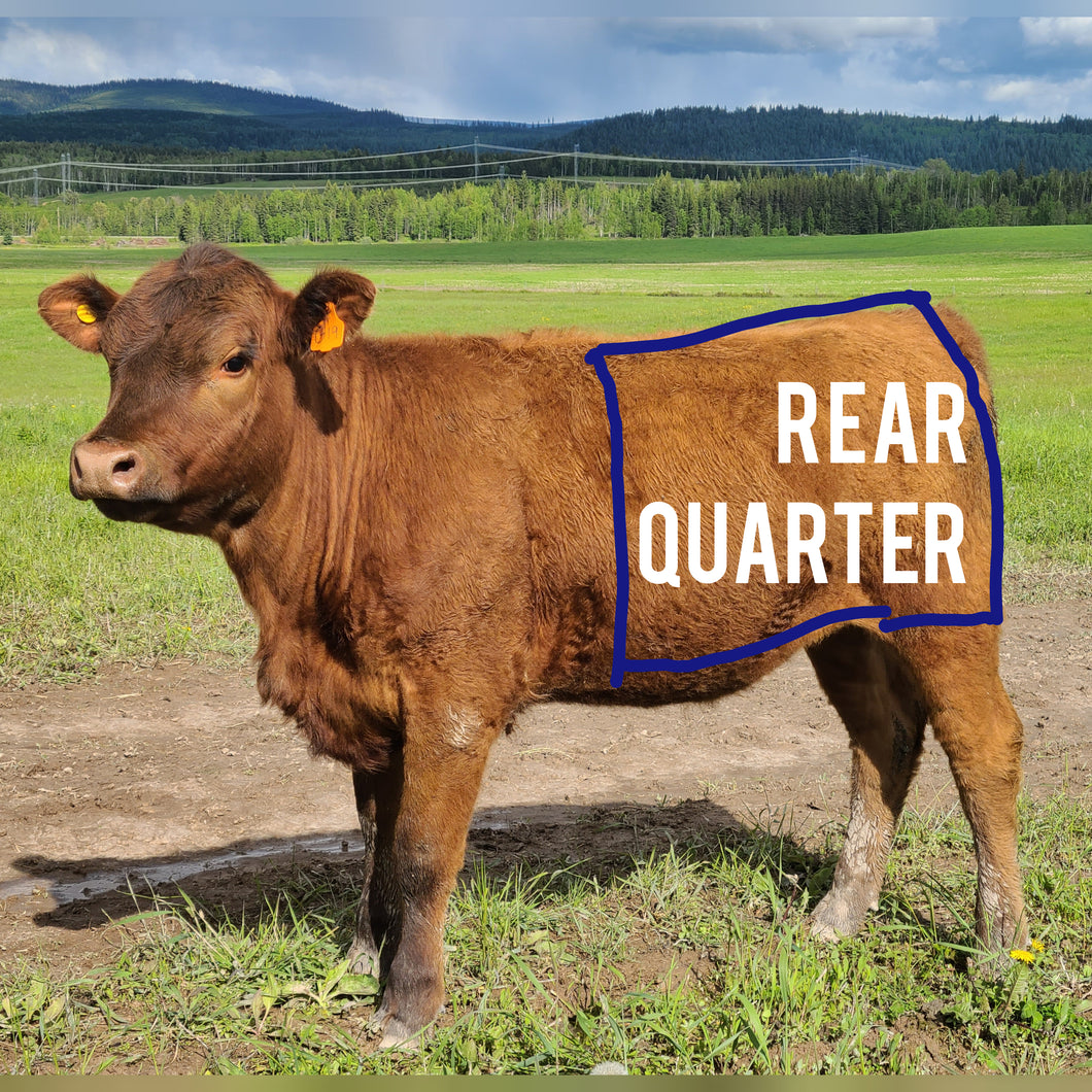 Beef by the Quarter:  Hind ($9.50/lb)